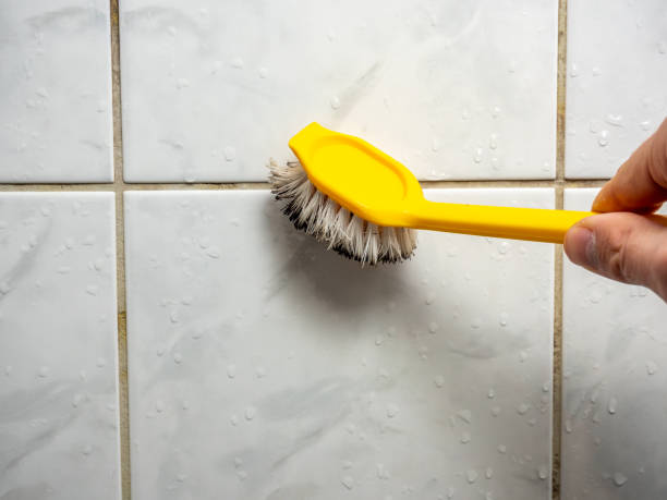 Best Toxic Mold Removal  in Keokea, HI