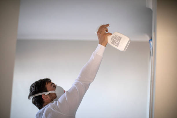 Best Attic Mold Removal  in Keokea, HI
