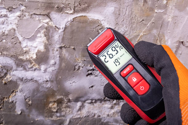 Best Mold Removal and Inspection  in Keokea, HI